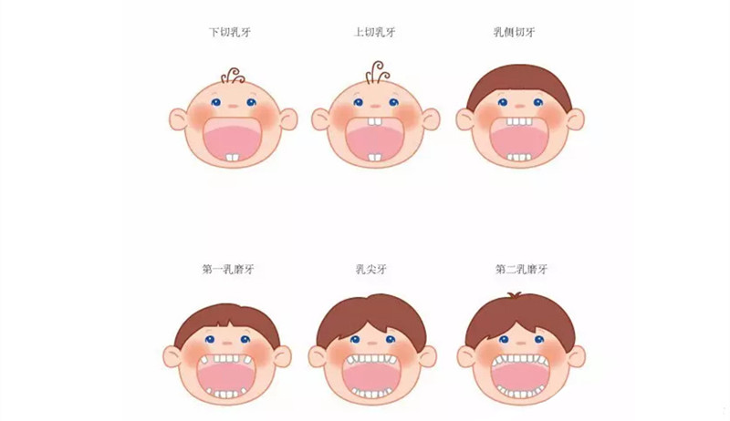爱牙日 | 刷牙大作战，让乳牙更健康